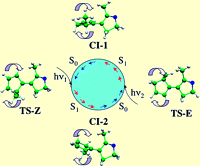 Design and Photochemical Characterization of a Biomimetic Light-Driven Z/E Switcher