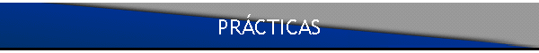PRCTICAS