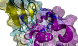 plegamiento proteinas