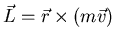 ${\vec{L}=\vec{r}\times \left(m\vec{v}\right)}$
