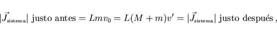 \begin{displaymath}
\mbox{$\vert\vec{J}_{\scriptscriptstyle \rm sistema}\vert$\ ...
...}_{\scriptscriptstyle \rm sistema}\vert$\ justo despu\'es}\, ,
\end{displaymath}