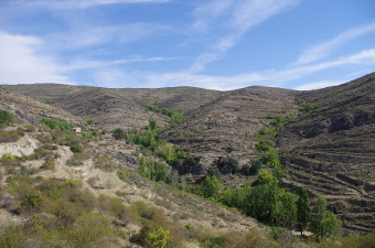 munilla