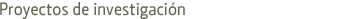 Ejes de Investigacin
