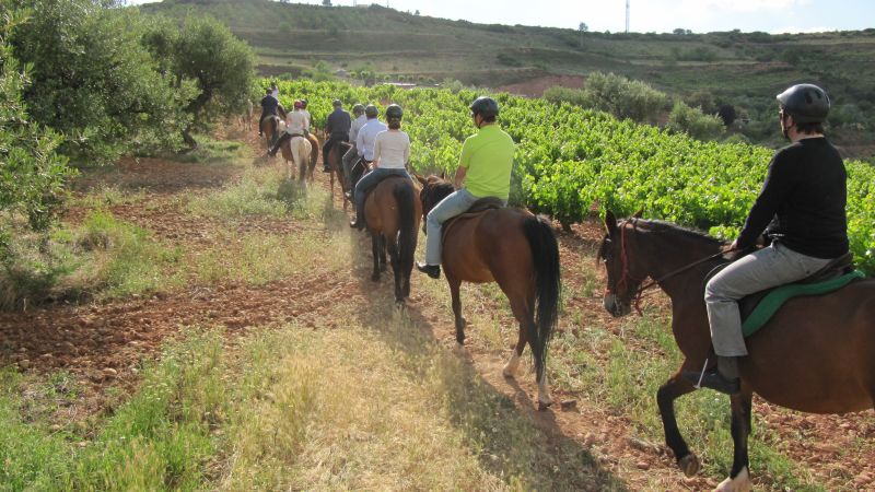 A caballo por la viña
