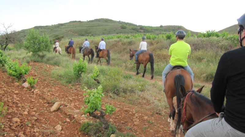 A caballo por la viña