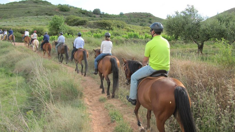 A caballo por la viña
