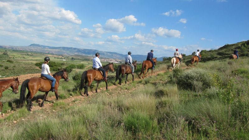 A caballo por la viña