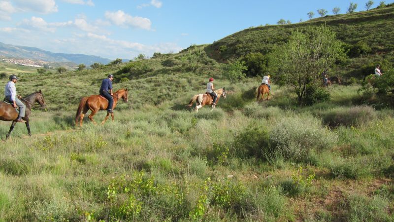 A caballo por la viña