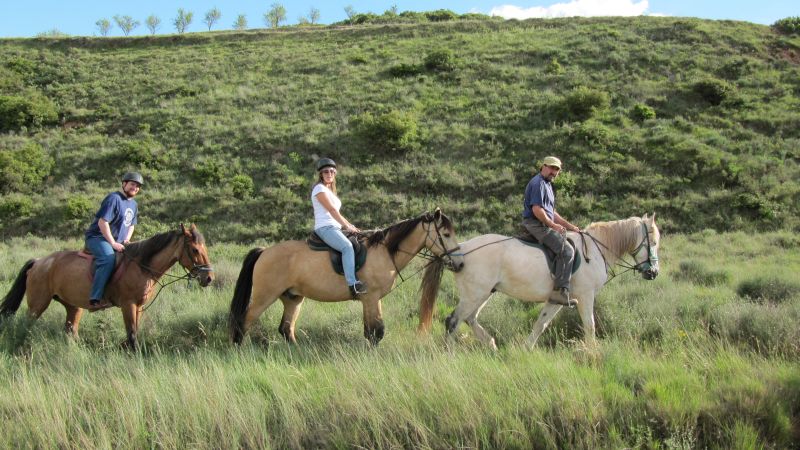 A caballo por la viña
