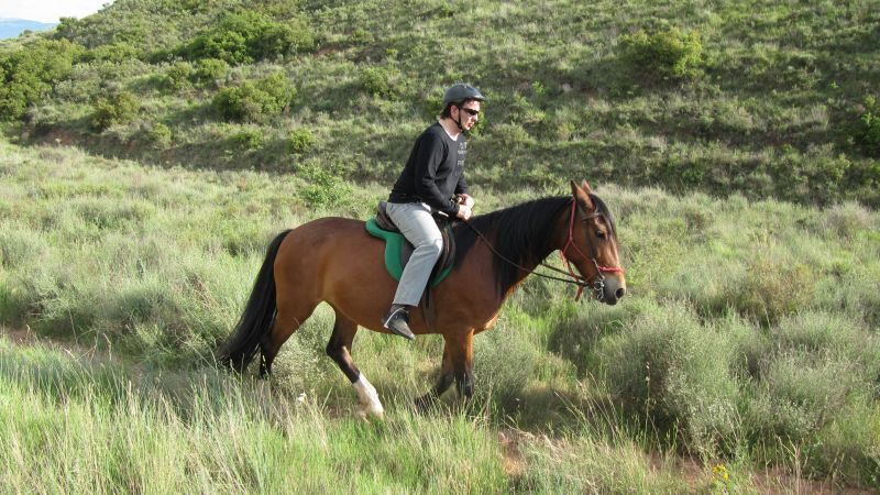 A caballo por la viña