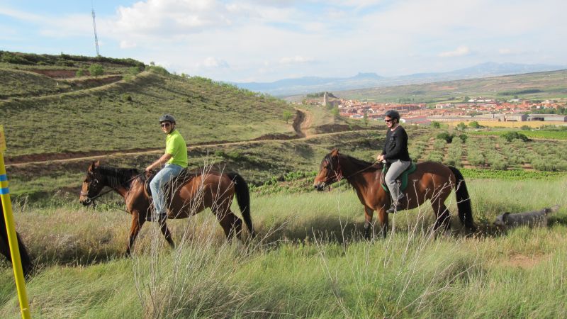 A caballo por la viña