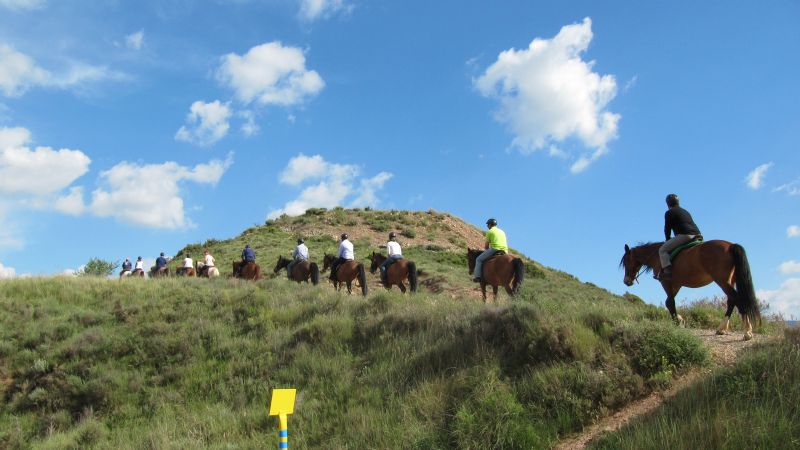 A caballo por la viña