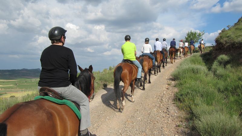 A caballo por la viña