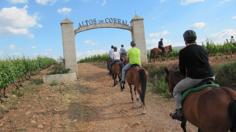 A caballo por la viña