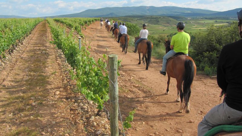 A caballo por la viña