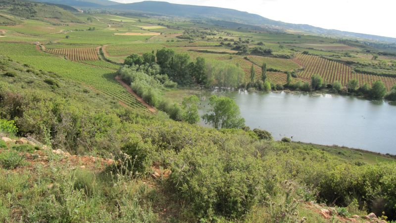 A caballo por la viña