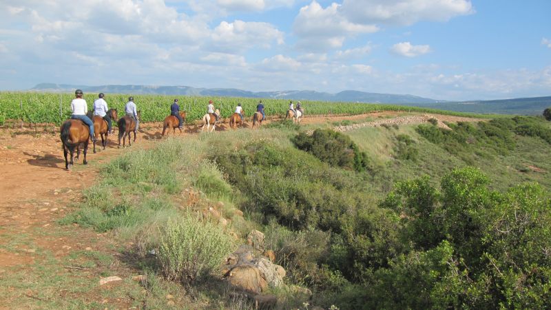 A caballo por la viña