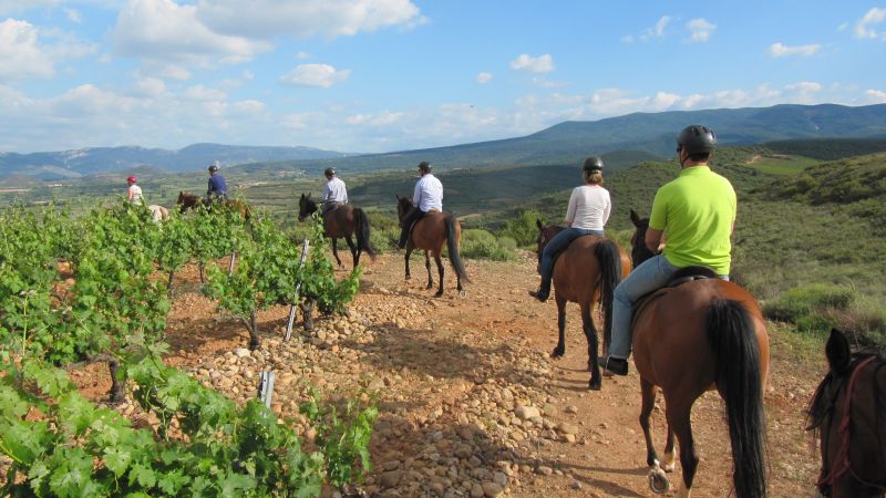 A caballo por la viña