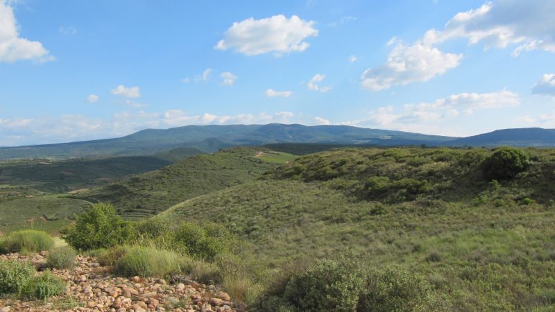 A caballo por la viña