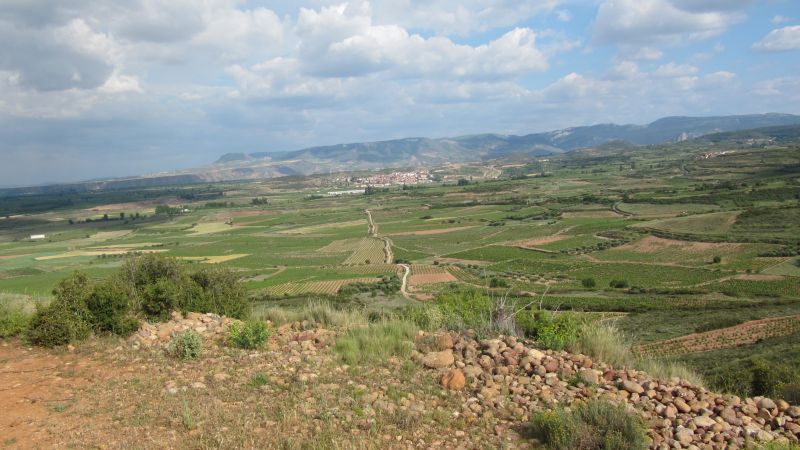 A caballo por la viña