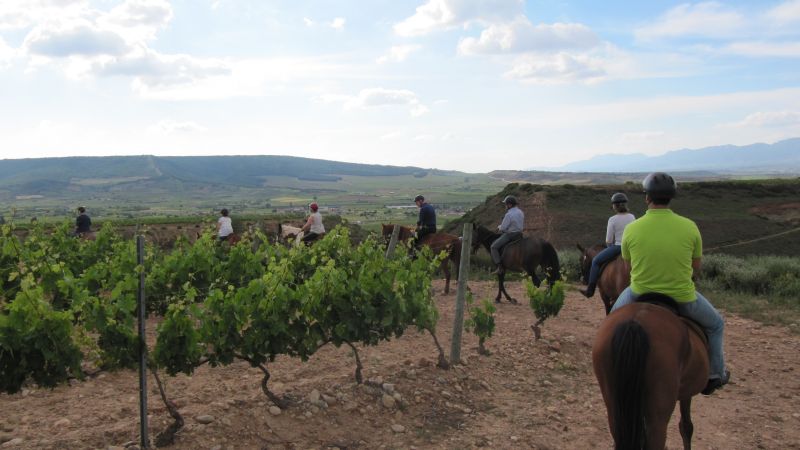 A caballo por la viña
