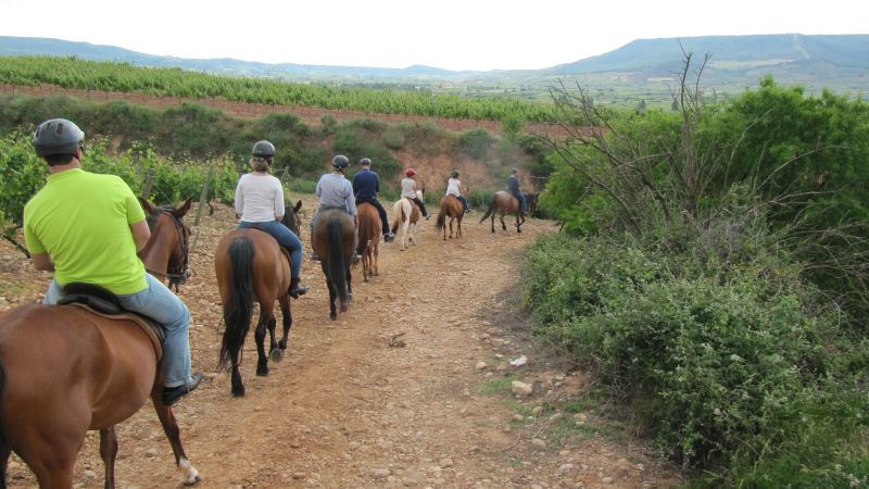 A caballo por la viña