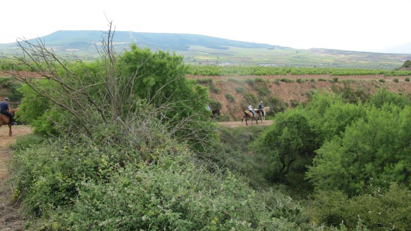 A caballo por la viña