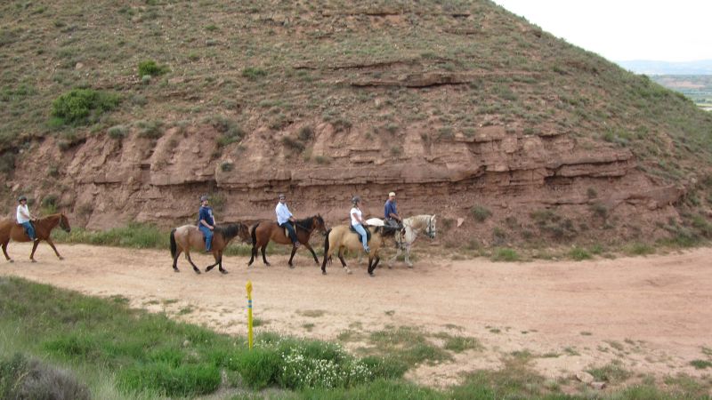 A caballo por la viña