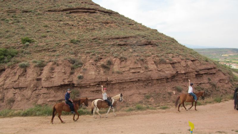 A caballo por la viña