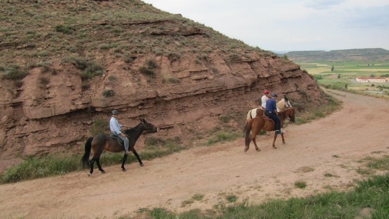 A caballo por la viña