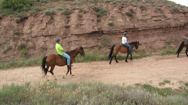 A caballo por la viña