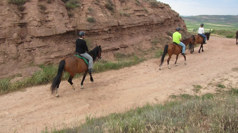 A caballo por la viña