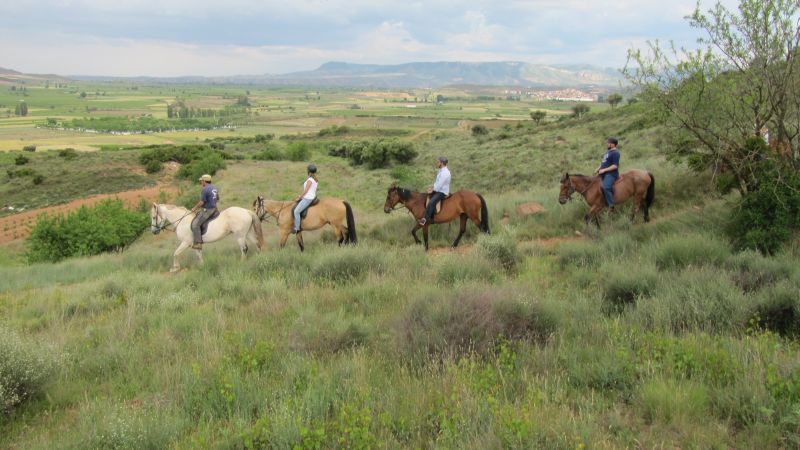 A caballo por la viña