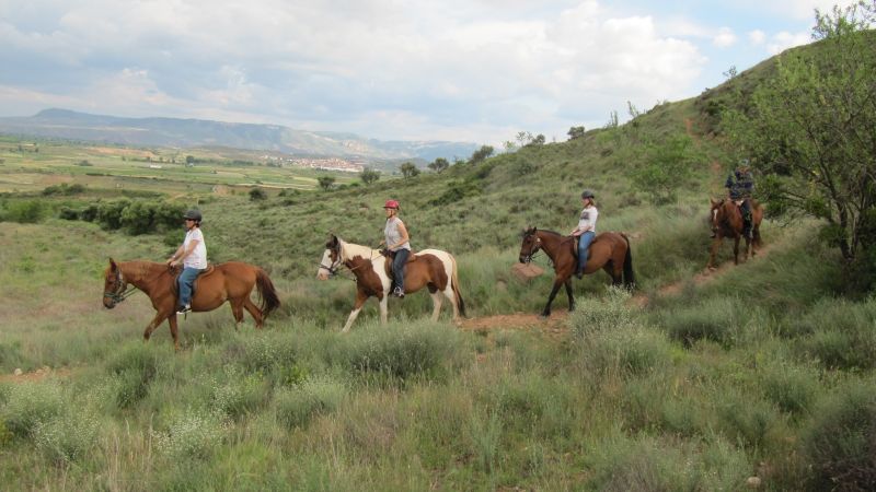 A caballo por la viña