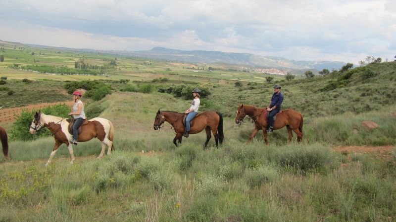 A caballo por la viña