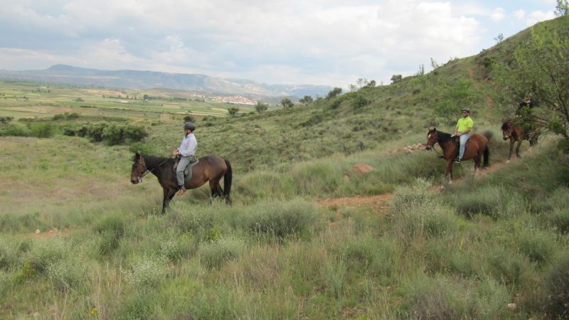 A caballo por la viña