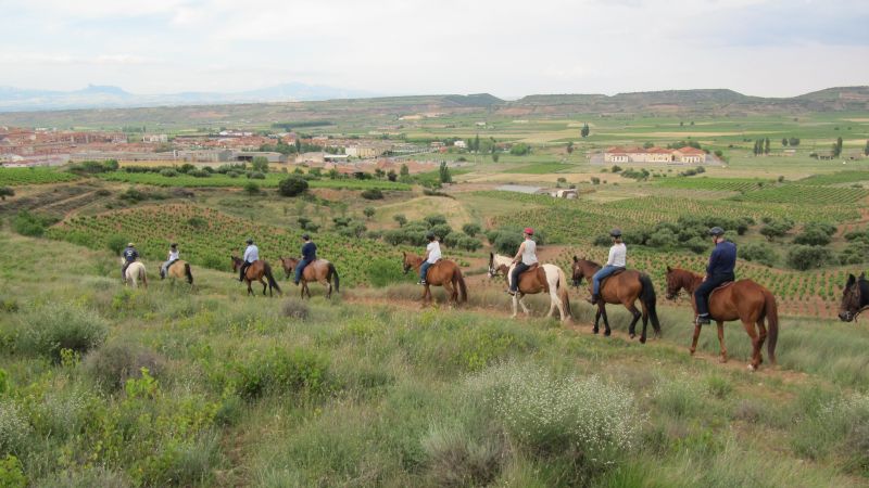 A caballo por la viña