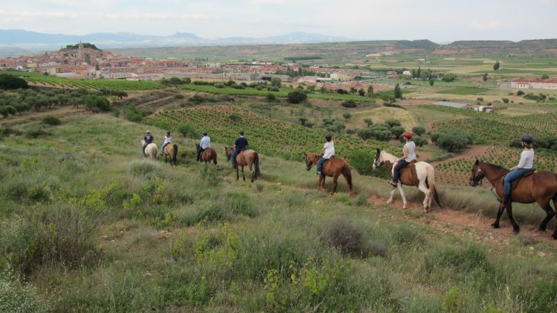 A caballo por la viña