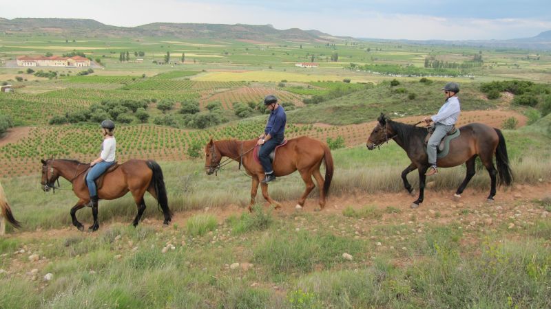 A caballo por la viña