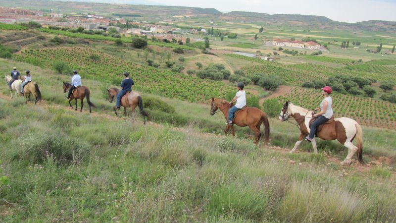 A caballo por la viña
