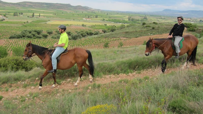 A caballo por la viña