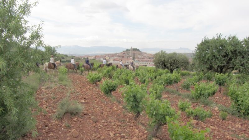 A caballo por la viña