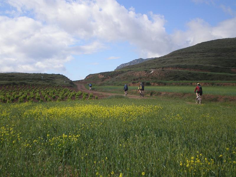 P5240012.JPG