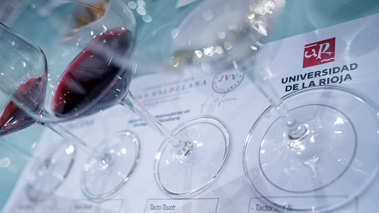 Las propuestas de cursos deben estar enmarcadas en el proyecto Enorregión-Campus Internacional del Vino