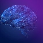 Curso: Introducción a las Redes de Neuronas Artificiales