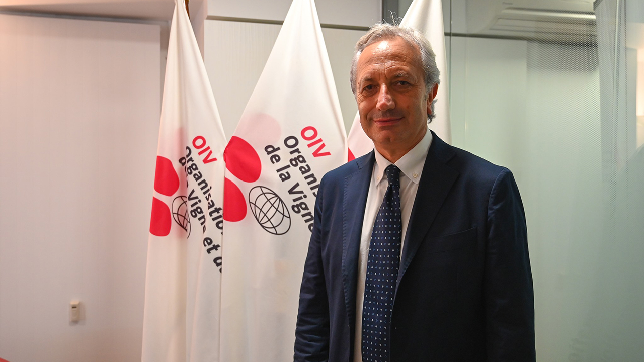 Luigi Moio, presidente de la OIV