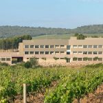 Taller. Agentes de control biológico para la sostenibilidad del viñedo: preservación y uso frente a posibles amenazas bióticas