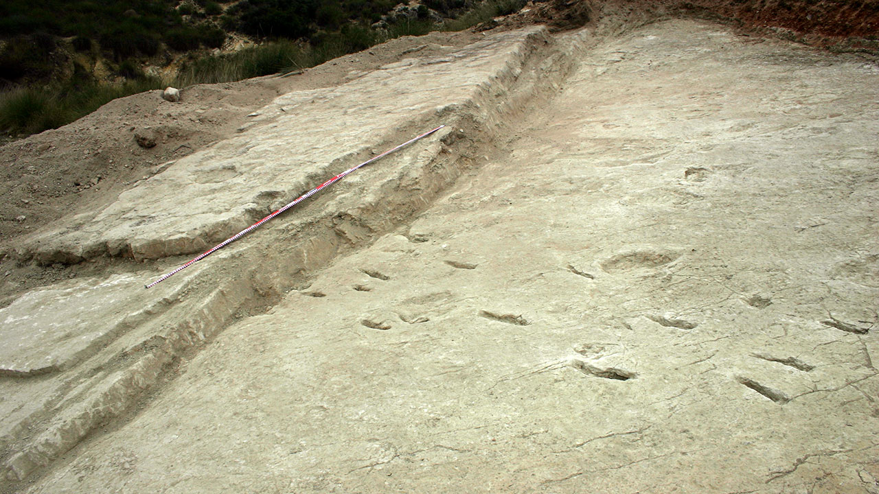 Yacimiento de La Sierra de las Cabras (Jumilla, Murcia), en el que aparecieron las huellas del Aenigmatipocus jumillensis