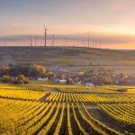 Curso 'Sostenibilidad agroalimentaria y cambio climático'