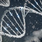 Aprovecha el poder de la NGS: Descubre las aplicaciones en genómica y transcriptómica